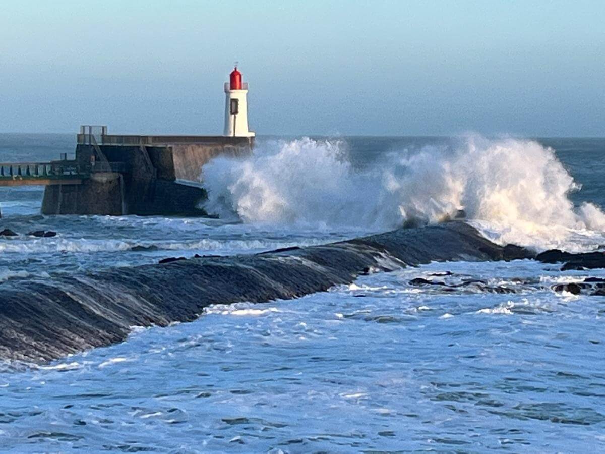 Avis clients Sylvie Deplanche Avis clients Sylvie Deplanche